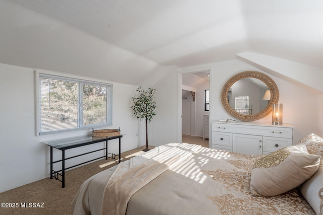 4038 E Bellevue St, Tucson, AZ 85712 - bedroom with vaulted ceiling and carpet