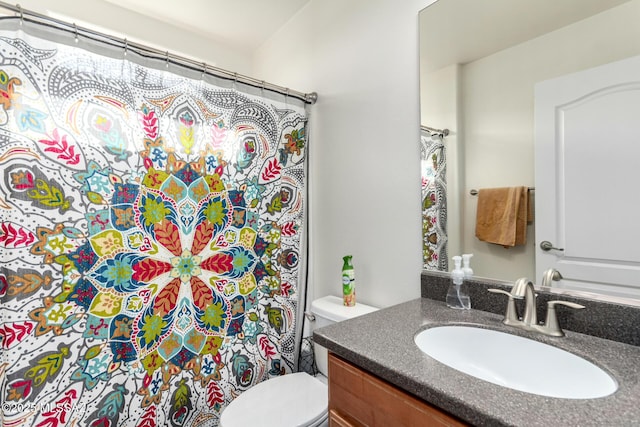 217 E Creosote Draw Rd, Vail, AZ 85641 - bathroom featuring vanity, toilet, and a shower with curtain