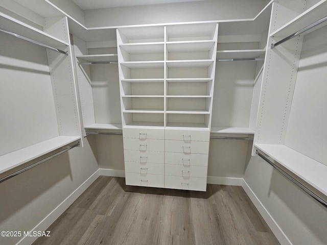 2020 E River Rd Unit 205, Tucson, AZ 85718 - walk in closet featuring dark wood-style flooring