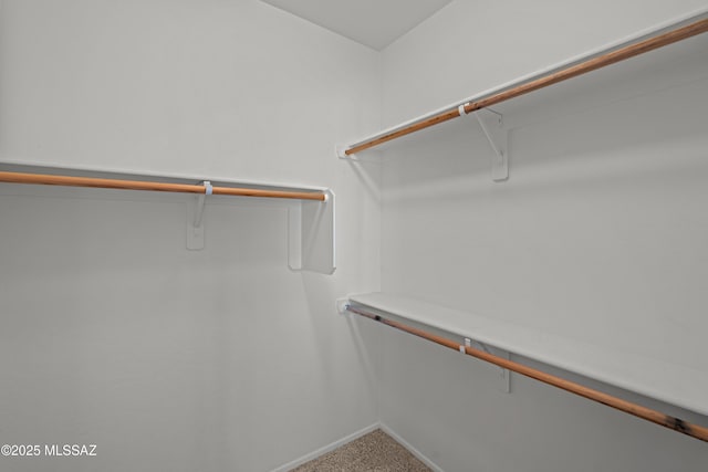 1248 W Via Cerro Colorado, Sahuarita, AZ 85629 - walk in closet with carpet flooring