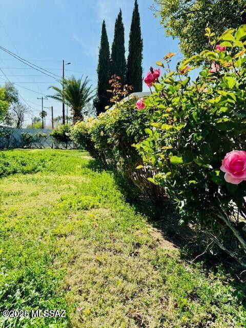 7122 E Eastland St, Tucson, AZ 85710 - view of yard