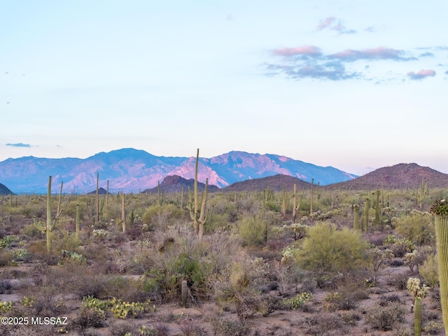 5730 N Tula Ln, Tucson, AZ 85743 - mountain view