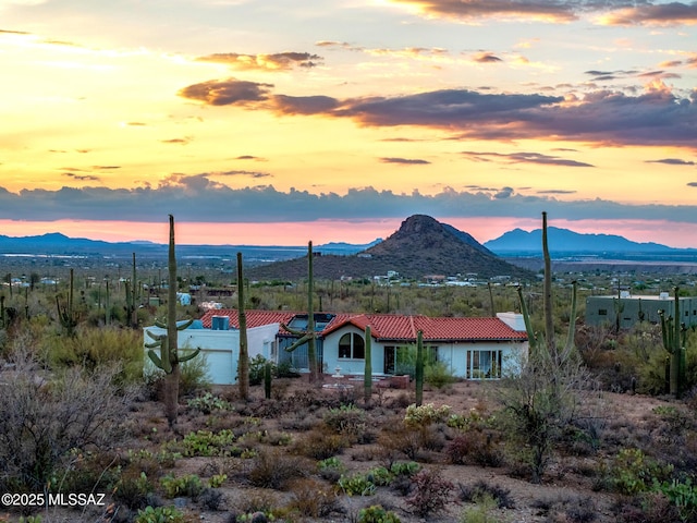 5730 N Tula Ln, Tucson, AZ 85743 - mountain view