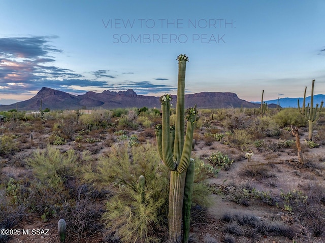 5730 N Tula Ln, Tucson, AZ 85743 - view of mountain background