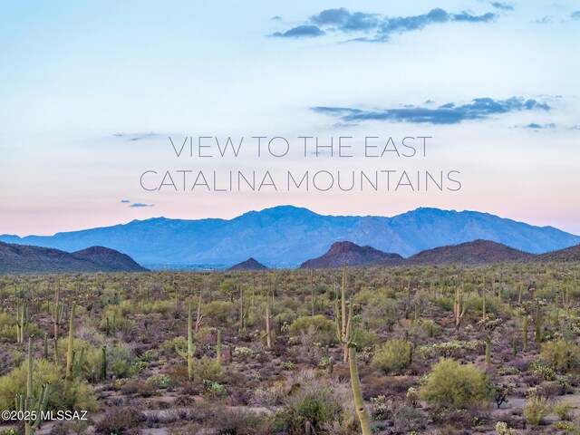 5730 N Tula Ln, Tucson, AZ 85743 - mountain view
