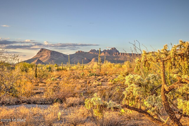 5730 N Tula Ln, Tucson, AZ 85743 - view of mountain background