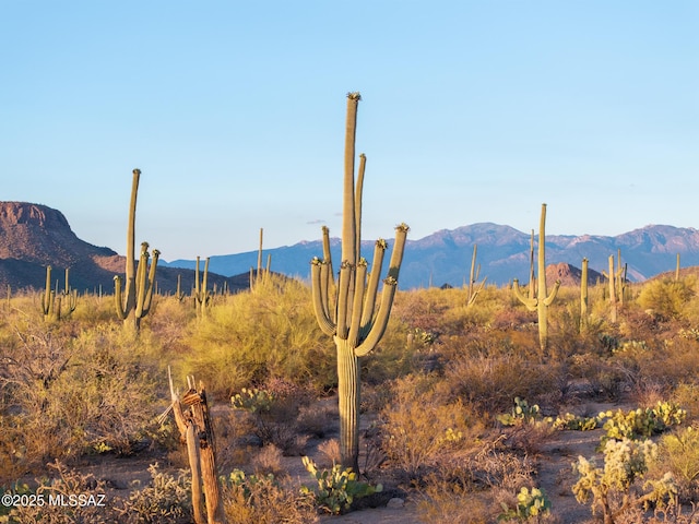 5730 N Tula Ln, Tucson, AZ 85743 - view of mountain background