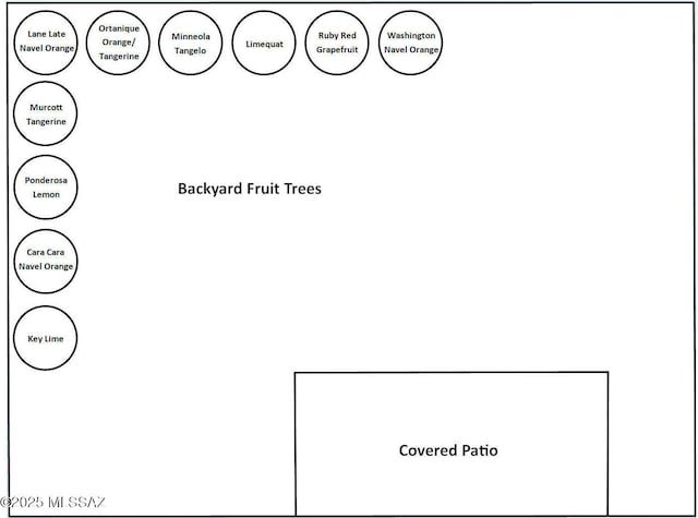 8954 E Pomegranate St, Tucson, AZ 85730 - view of a document