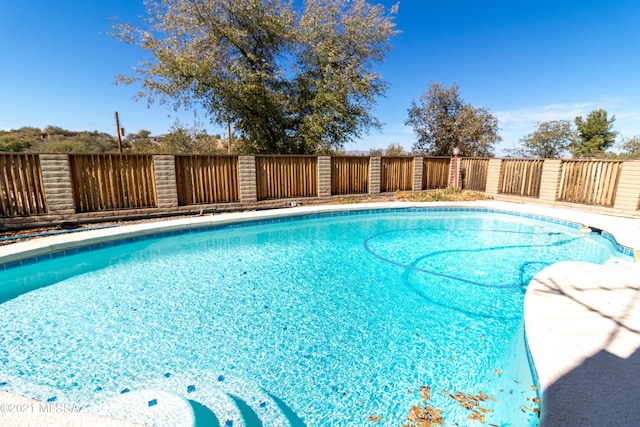 150 E Nuestro St, Oracle, AZ 85623 - view of swimming pool