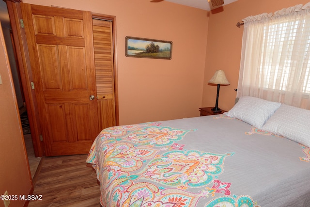 1117 S Carnegie Dr, Tucson, AZ 85710 - bedroom with wood finished floors and a closet