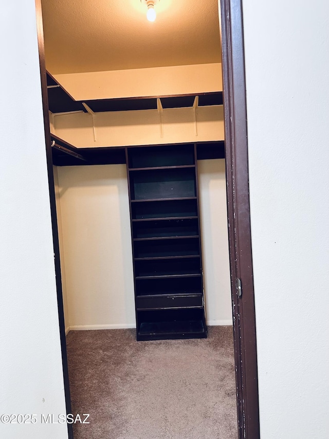 41 S Main St, Pima, AZ 85543 - walk in closet with carpet flooring