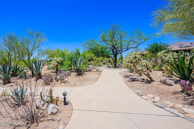2600 E Skyline Dr Unit 21, Tucson, AZ 85718 - view of community