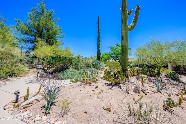 2600 E Skyline Dr Unit 21, Tucson, AZ 85718 - view of undeveloped land