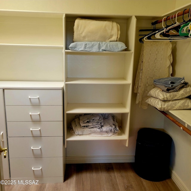 536 W Deerview Ct, Green Valley, AZ 85614 - spacious closet featuring dark wood-type flooring