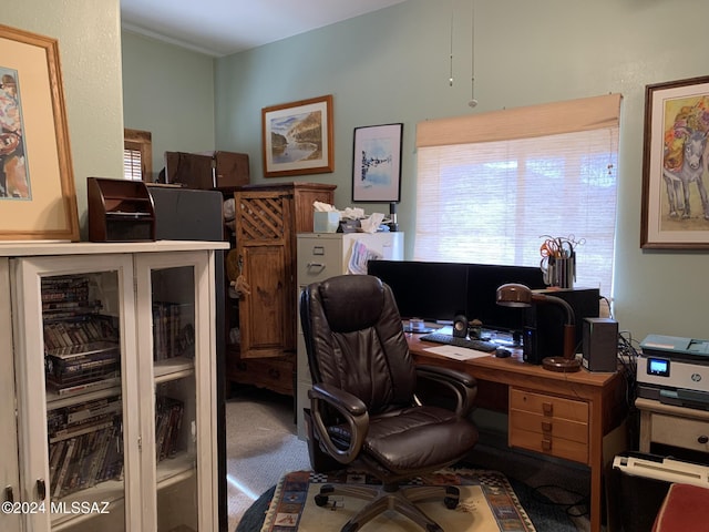 1606 N Panorama Way, Cochise, AZ 85606 - home office with carpet floors