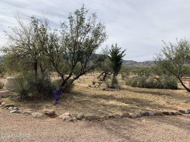 1606 N Panorama Way, Cochise, AZ 85606 - view of yard featuring a mountain view