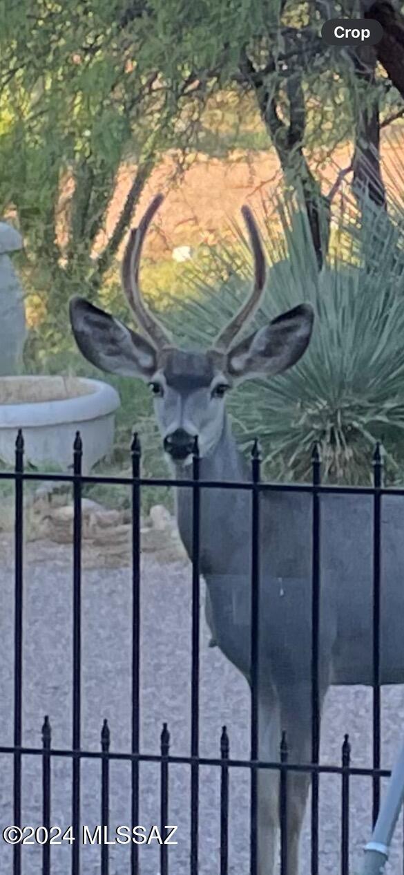 1606 N Panorama Way, Cochise, AZ 85606 - view of gate