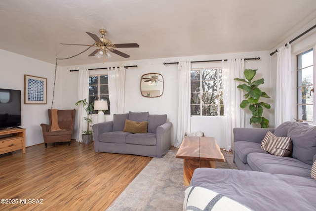 4308 E Elmwood St, Tucson, AZ 85711 - living room featuring light wood-type flooring and ceiling fan