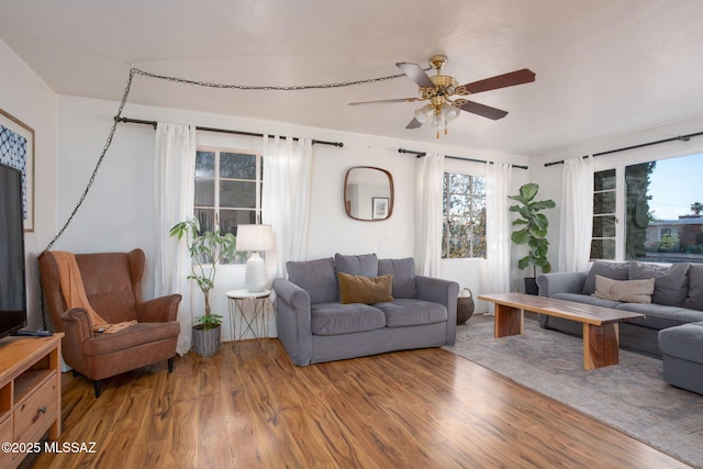 4308 E Elmwood St, Tucson, AZ 85711 - living room featuring ceiling fan, plenty of natural light, and wood finished floors