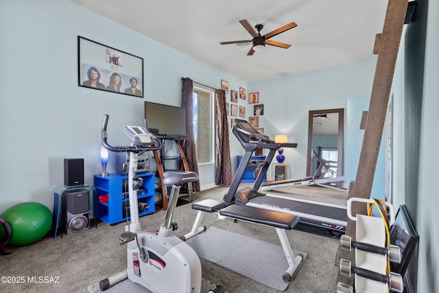 12475 N Faraway Wash Trl, Marana, AZ 85658 - workout room with a ceiling fan and carpet floors
