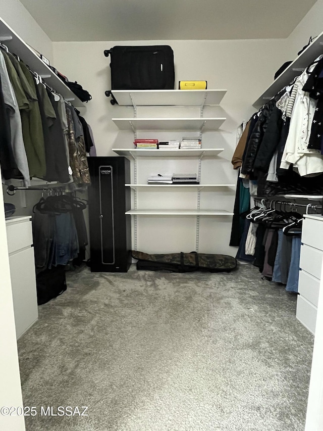 210 W Andrew Potter St, Vail, AZ 85641 - view of spacious closet