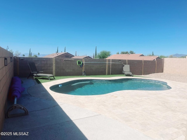 210 W Andrew Potter St, Vail, AZ 85641 - view of pool featuring a patio area and a fenced backyard
