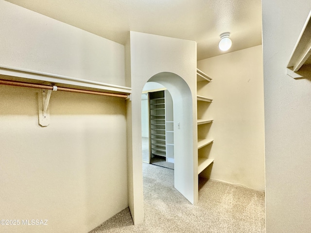 7621 N Placita De Los Amigos, Tucson, AZ 85704 - walk in closet with carpet flooring