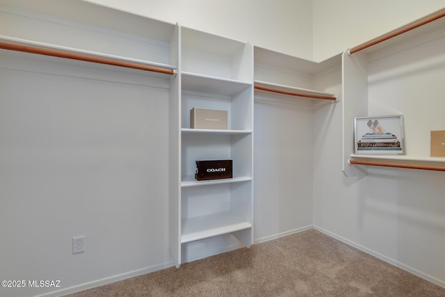 8191 N White Stallion Pl, Tucson, AZ 85743 - walk in closet with carpet flooring