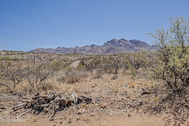 1503 Camino Bacalao, Rio Rico, AZ 85648 - view of mountain backdrop