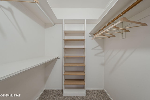 3940 E Timrod St Unit 226, Tucson, AZ 85711 - walk in closet with carpet