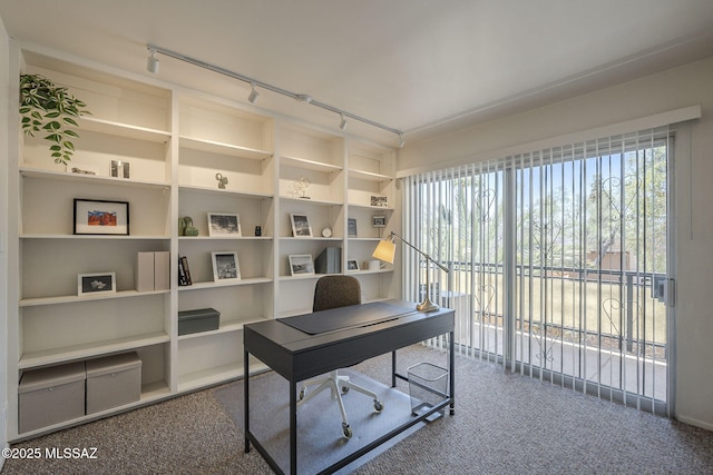 3940 E Timrod St Unit 226, Tucson, AZ 85711 - office space featuring rail lighting, carpet, and built in shelves