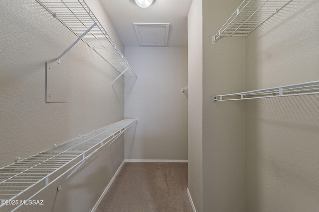 1500 E Pusch Wilderness Dr Unit 15205, Oro Valley, AZ 85737 - walk in closet featuring carpet flooring