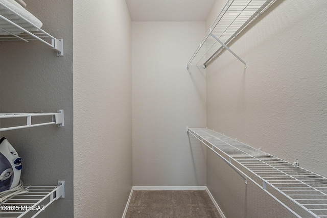 1500 E Pusch Wilderness Dr Unit 15205, Oro Valley, AZ 85737 - spacious closet with carpet flooring