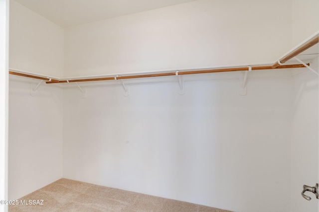 139 E Castlefield Cir, Tucson, AZ 85704 - spacious closet with carpet floors