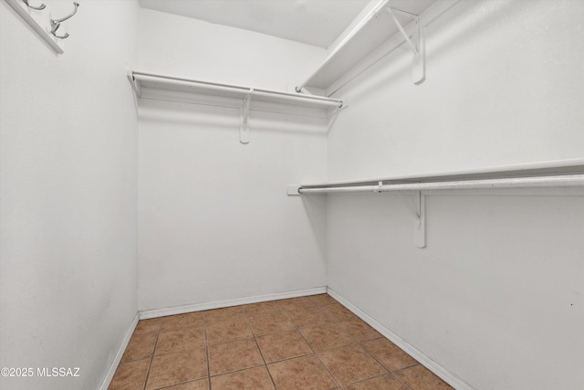 807 N Manzanita Pl, Saint David, AZ 85630 - walk in closet with tile patterned flooring