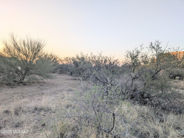 1043 S Garfield Pl Unit 40, Vail, AZ 85641