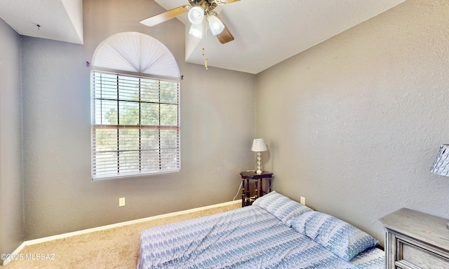 8942 N Ferber Ct, Tucson, AZ 85742 - bedroom with carpet flooring, a textured wall, and ceiling fan