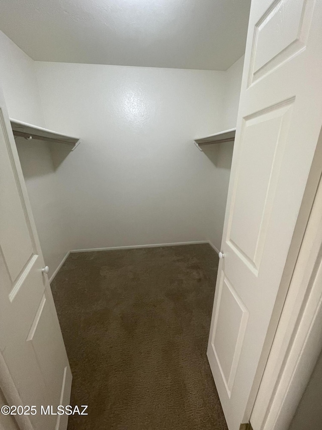 1809 E Miles St, Tucson, AZ 85719 - spacious closet with carpet