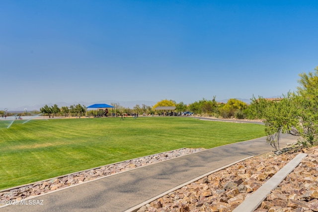9407 E Greek Sage Way, Vail, AZ 85641 - surrounding community with a yard