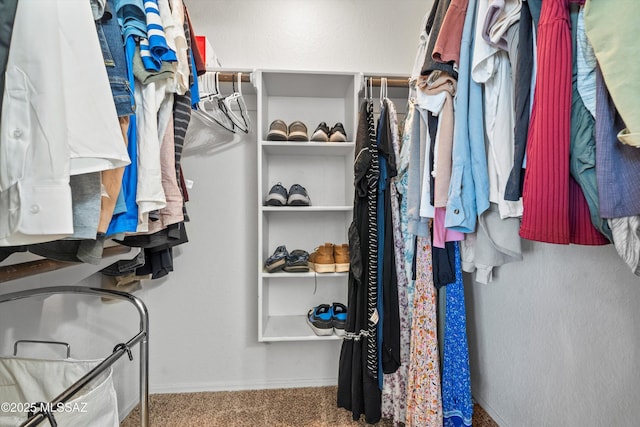1441 N Calle De Durazo, Tucson, AZ 85715 - spacious closet with carpet floors