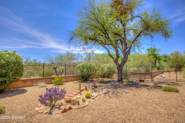 13491 N Tom Ryans Way, Oro Valley, AZ 85755 - view of fenced backyard