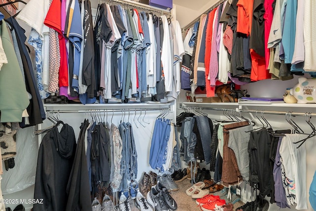 10567 E Desert Drifter Pl, Tucson, AZ 85747 - view of walk in closet