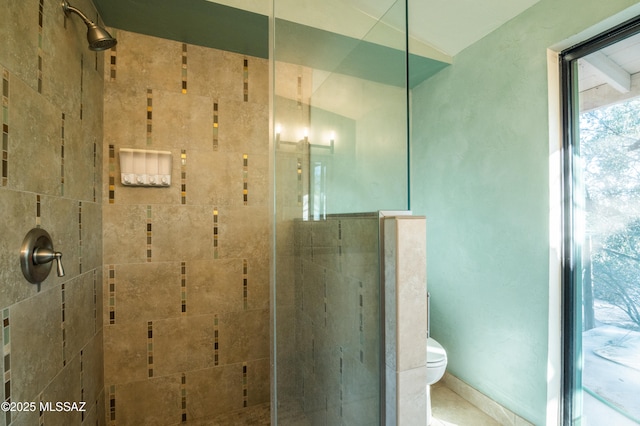 1115 W Santo Domingo Cir, Tucson, AZ 85704 - bathroom with tiled shower and toilet