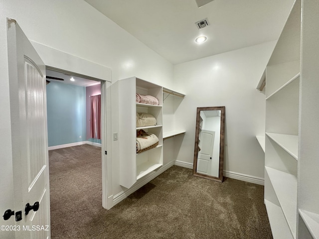 508 N Eagle Meadow Loop, Thatcher, AZ 85552 - walk in closet with dark carpet