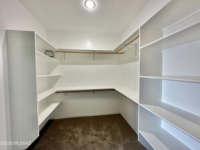 508 N Eagle Meadow Loop, Thatcher, AZ 85552 - walk in closet featuring dark colored carpet