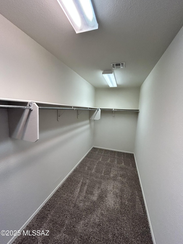 3365 N River Rapids Dr, Tucson, AZ 85712 - walk in closet with dark carpet