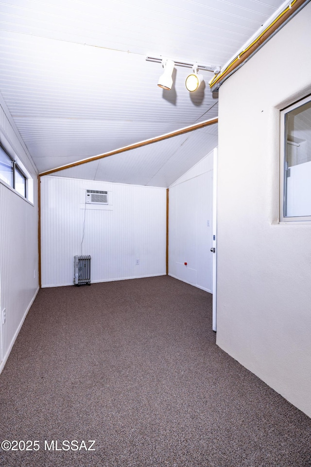 1809 E 8th St, Tucson, AZ 85719 - below grade area featuring radiator heating unit and carpet flooring