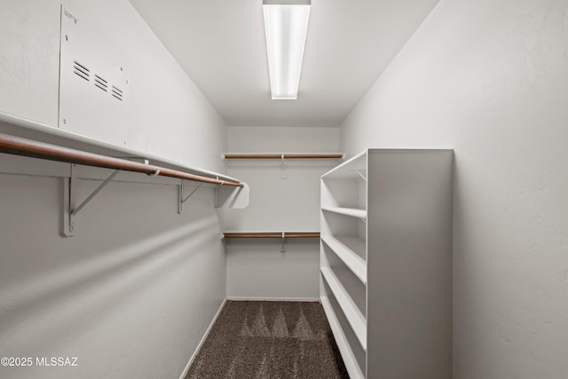 1026 E Madera Estates Ln, Sahuarita, AZ 85629 - spacious closet with dark colored carpet