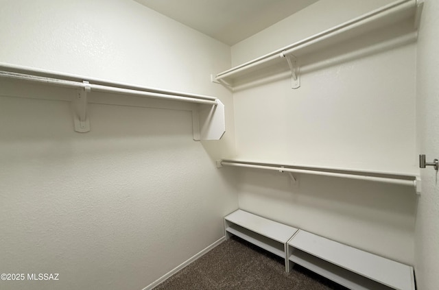 2898 W Simplicity Dr, Tucson, AZ 85741 - spacious closet featuring carpet floors