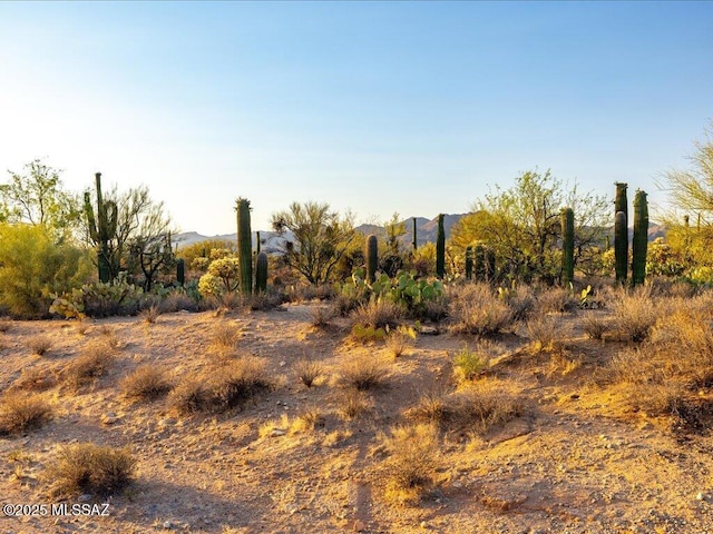 3872 W Sonoma Ranch Pl, Marana, AZ 85658 - view of local wilderness